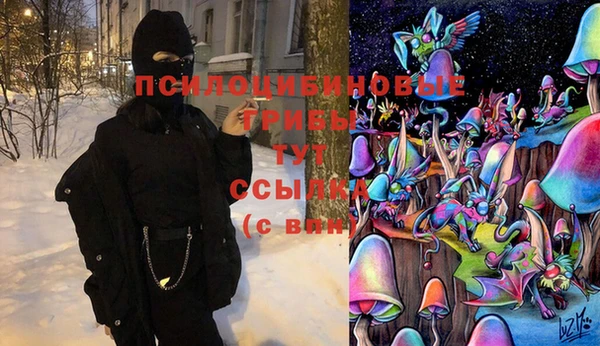 соль ск Абдулино