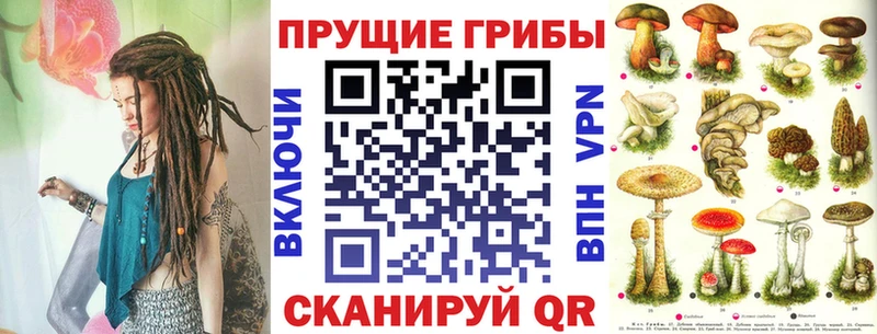 Галлюциногенные грибы мухоморы  Кизилюрт 